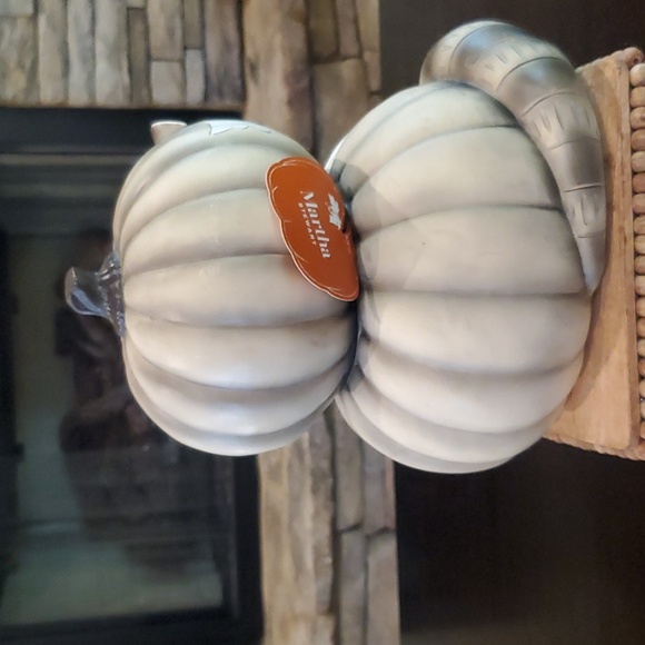 Rustic Pumpkin Racoon-NWT - Picture 4 of 4